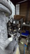 Simon photo 3