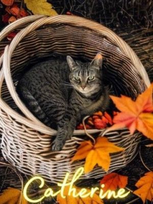 Catherine