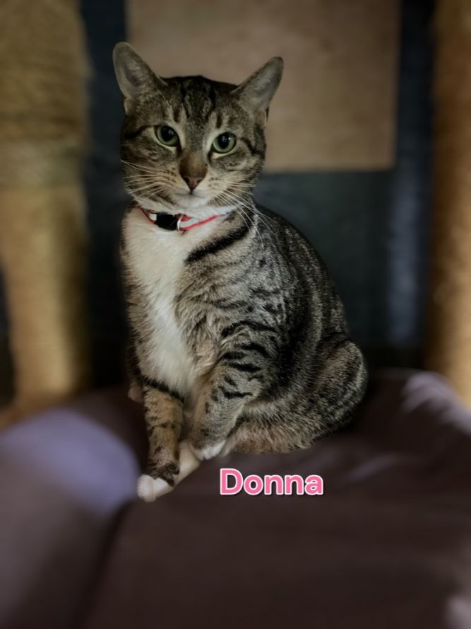 Donna