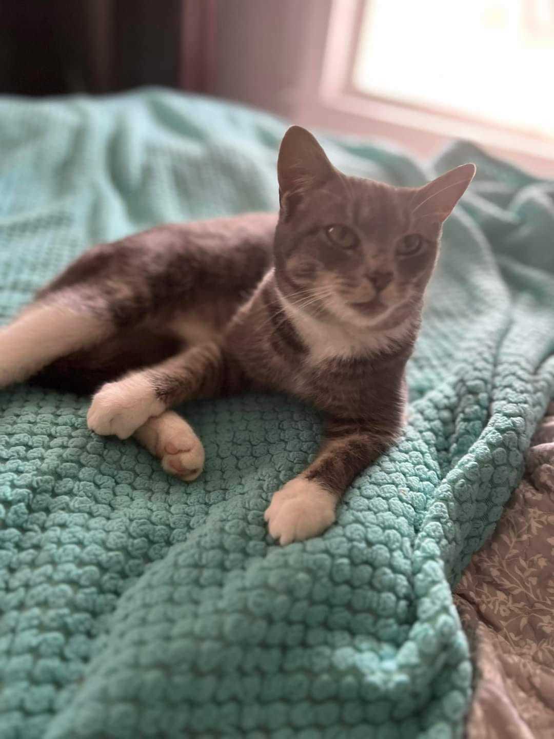 Oscar
