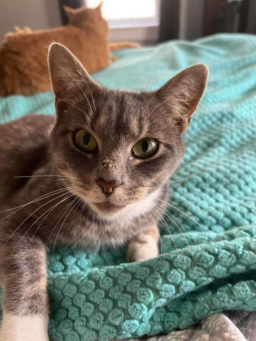 Oscar