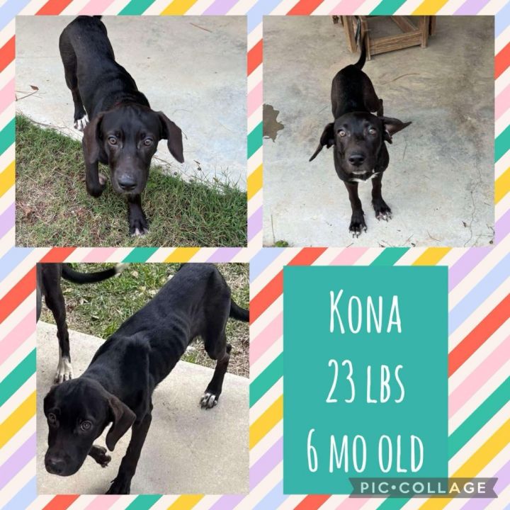 Kona 2