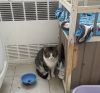Tabitha photo 2