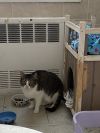 Tabitha photo 4