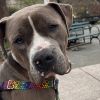 Obie photo 6