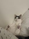 Kira photo 5