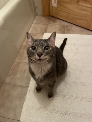 Marni, Senior Male unknown