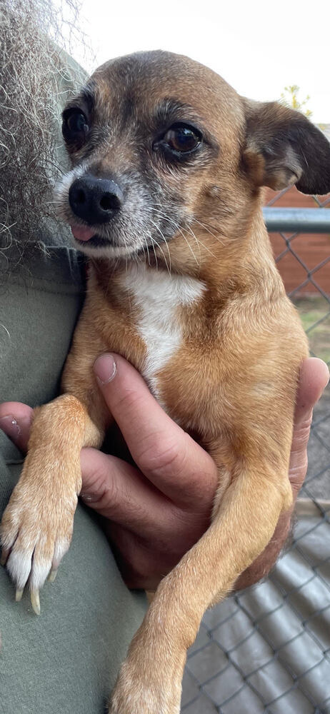 Mama Belle