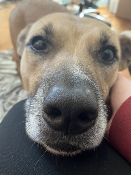Ferrari - IN FOSTER
