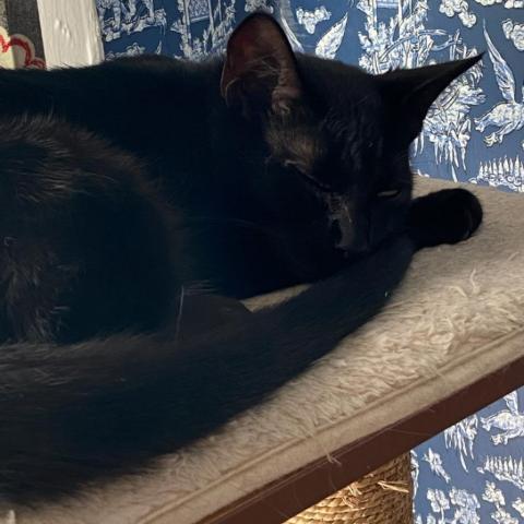 Max