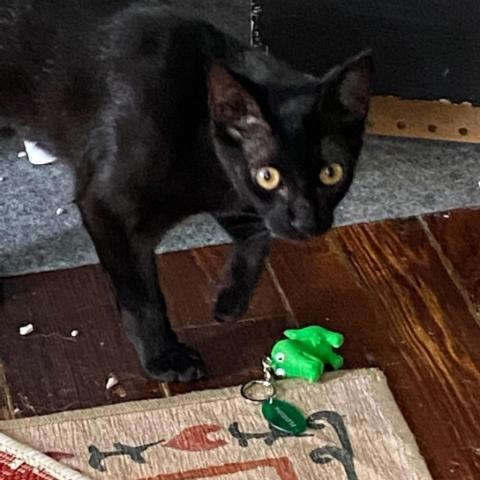 Max