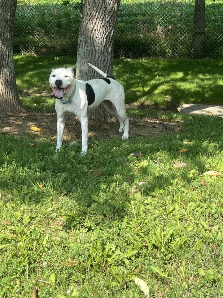 Maisy 1