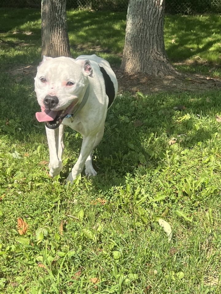 Maisy 3