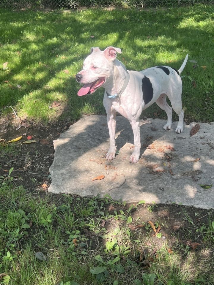 Maisy 4