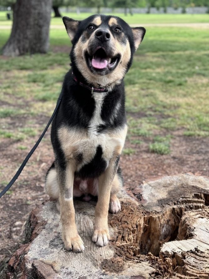 Max