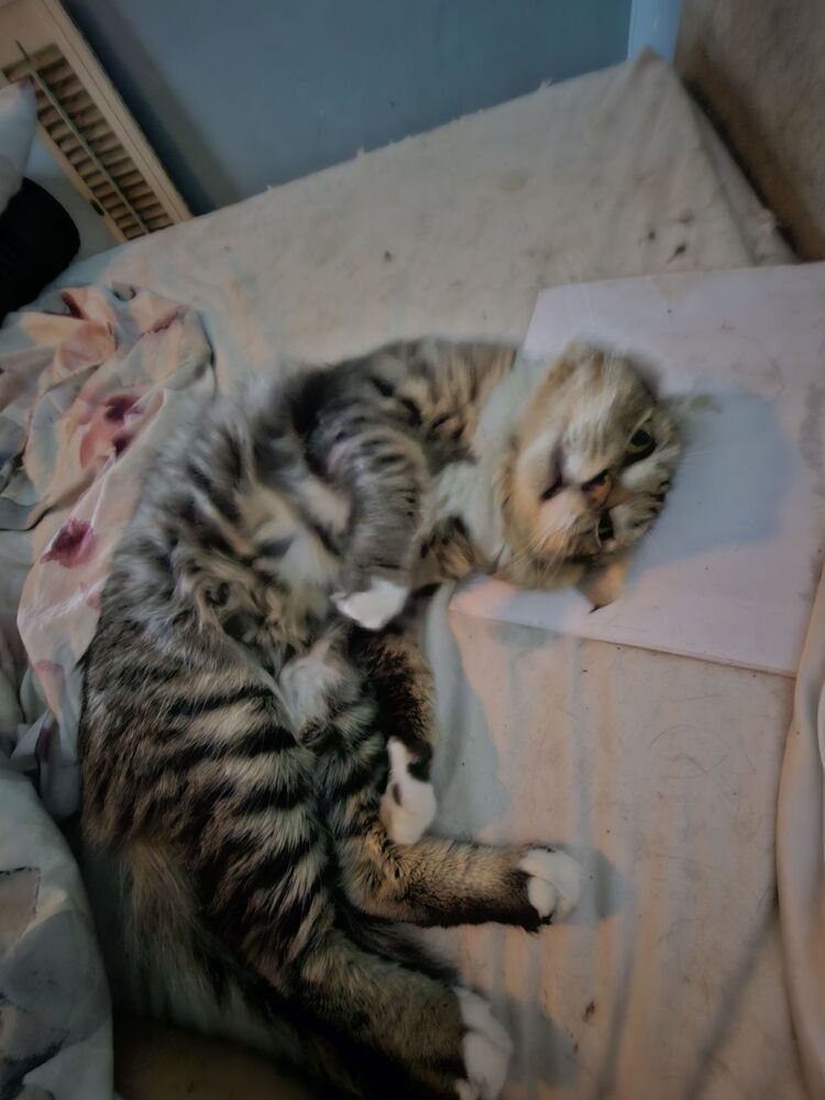 Chance
