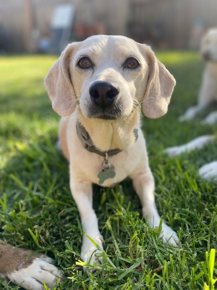 Brady 1