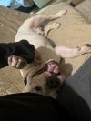 Lucky - Courtesy Post photo 1