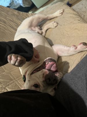 Lucky - Courtesy Post