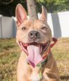Stitch photo 2