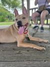 Stitch photo 3