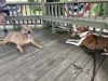 Stitch photo 4