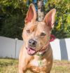 Stitch photo 5
