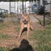 Stitch photo 6