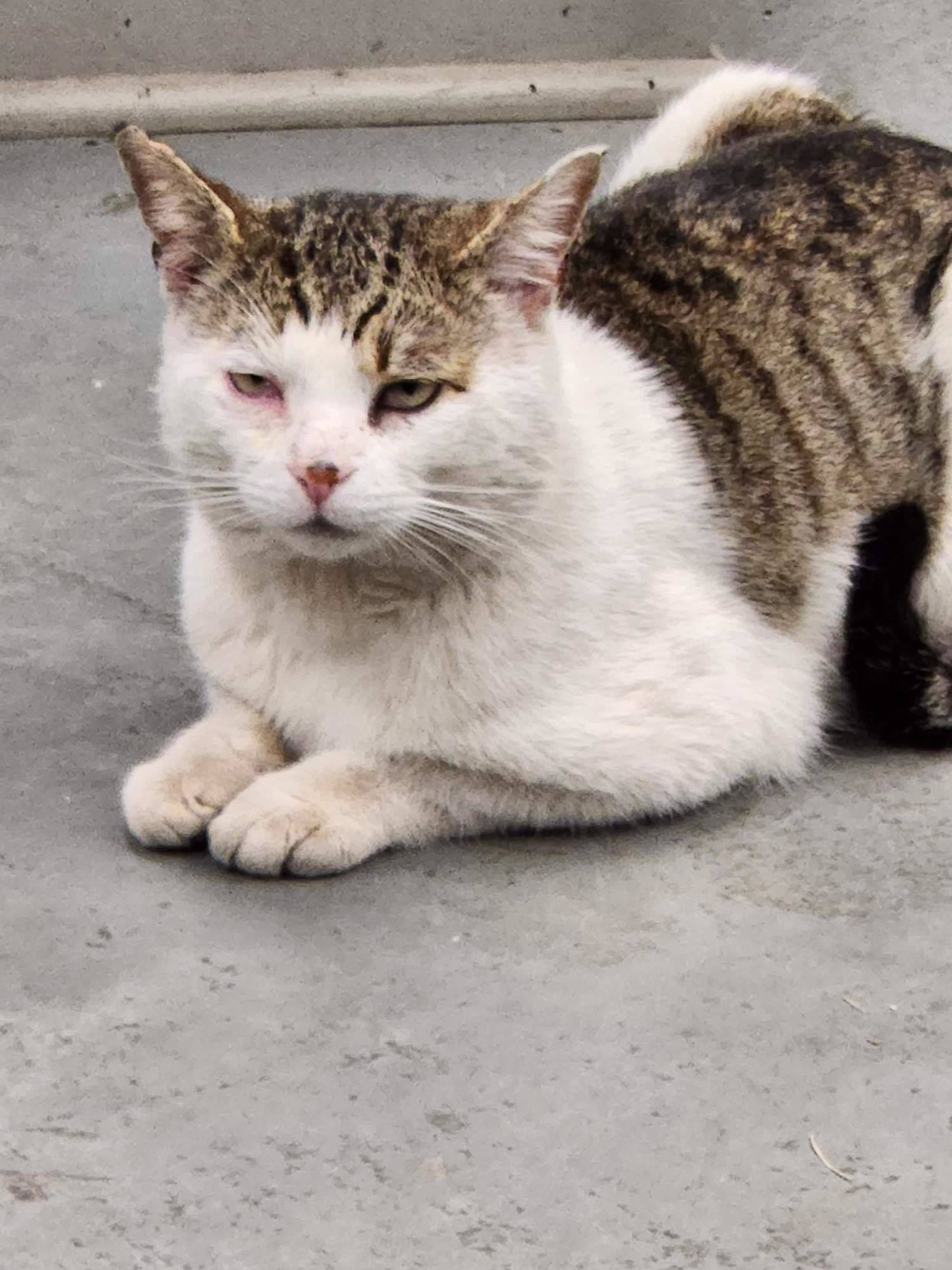 Arturo