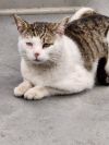 Arturo photo 4