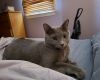 Smokey photo 3