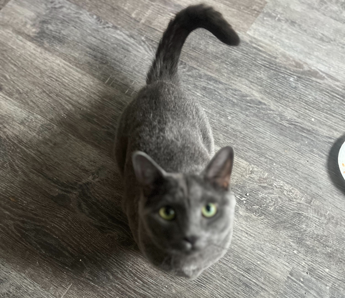Smokey