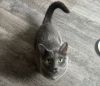 Smokey photo 4