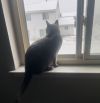 Smokey photo 5