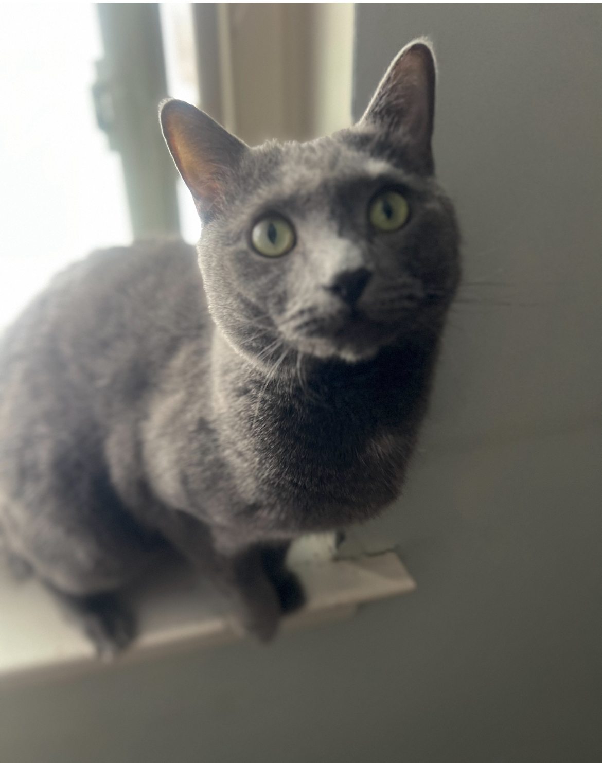 Smokey