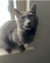 Smokey photo 6