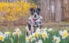 Ruger photo 2