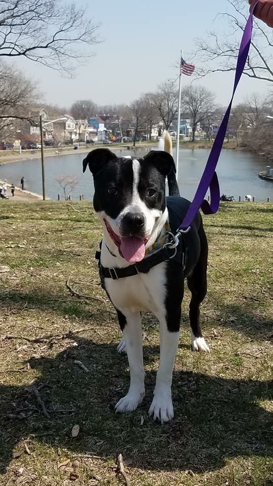 Ruger