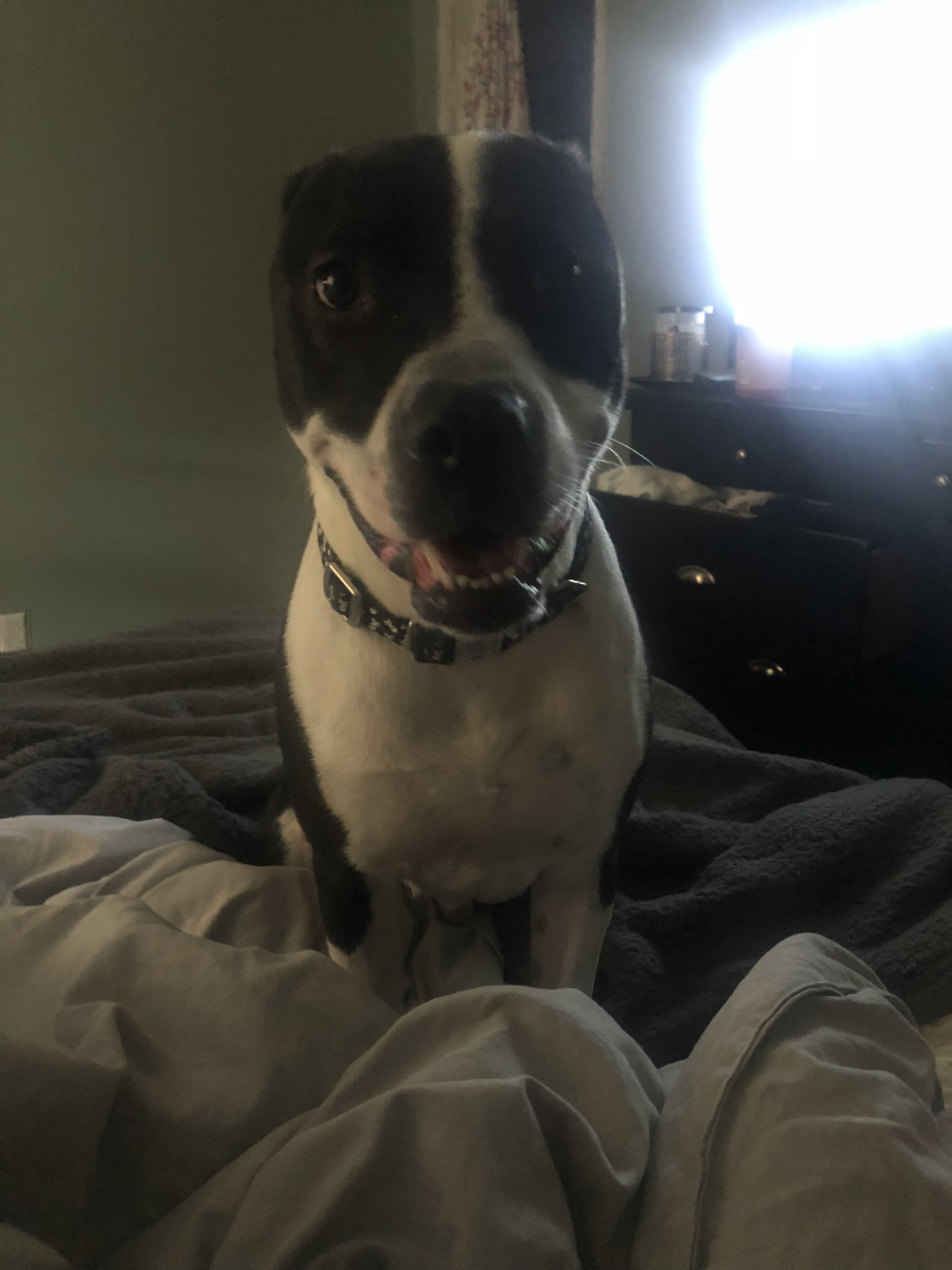 Ruger