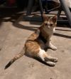 Coco photo 1