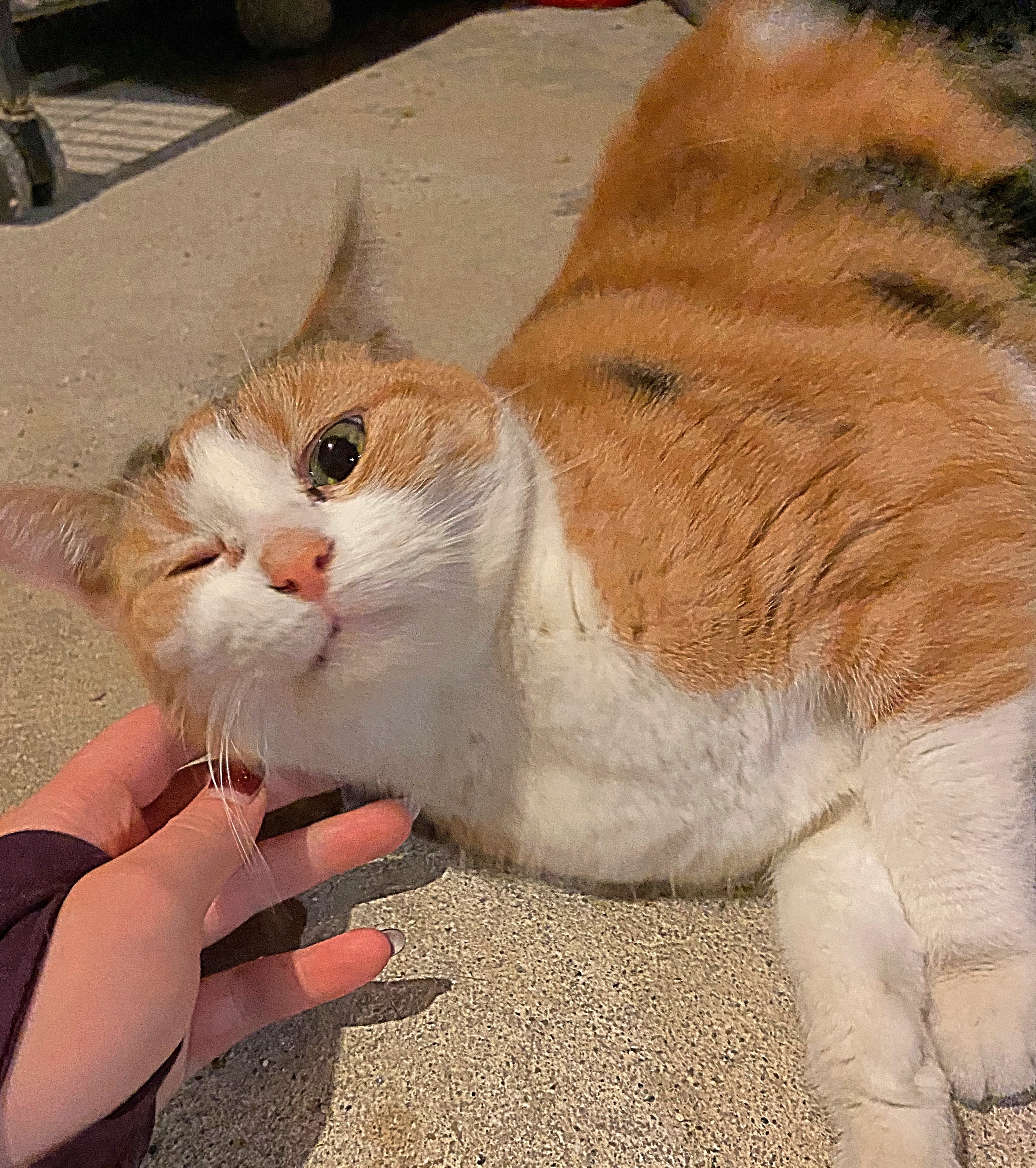 Coco