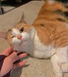 Coco photo 2