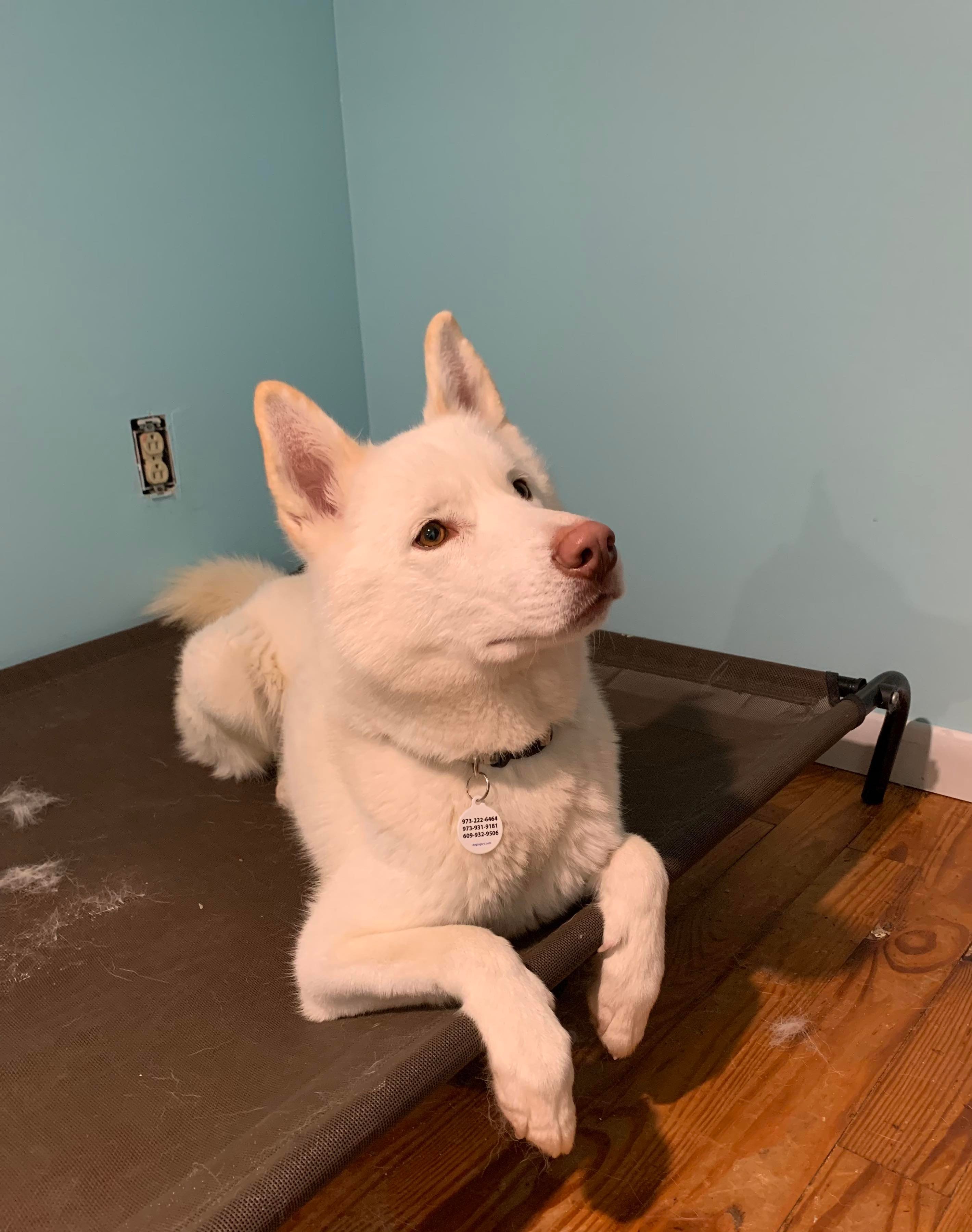 Timber