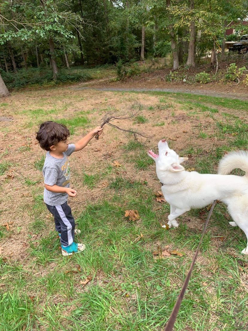 Timber