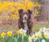 Scout photo 2