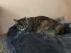Sadie photo 5
