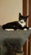 Dory photo 1
