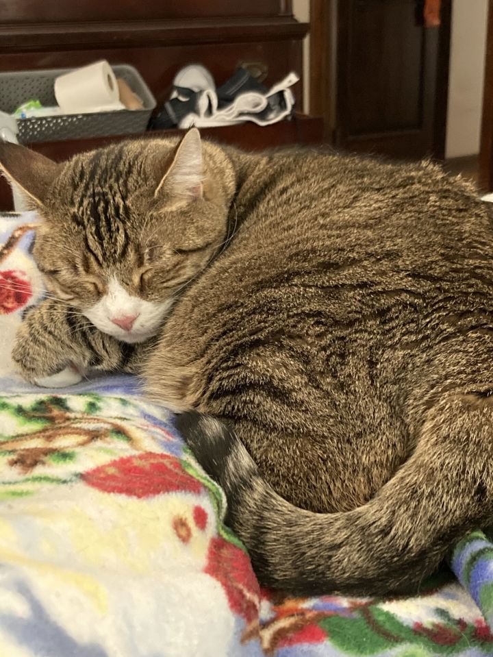 Stella **COURTESY POST** 3