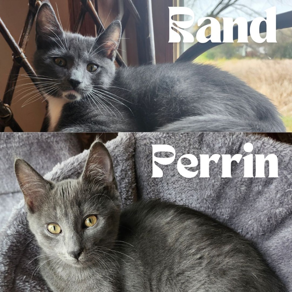 Perrin / Rand (Bonded Pair)