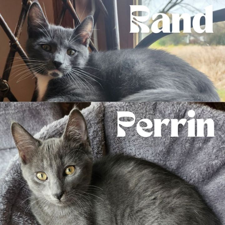 Perrin / Rand (Bonded Pair) 1